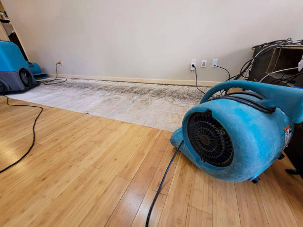 Professional Flood Damage Cleanup technician working in Halifax, PA